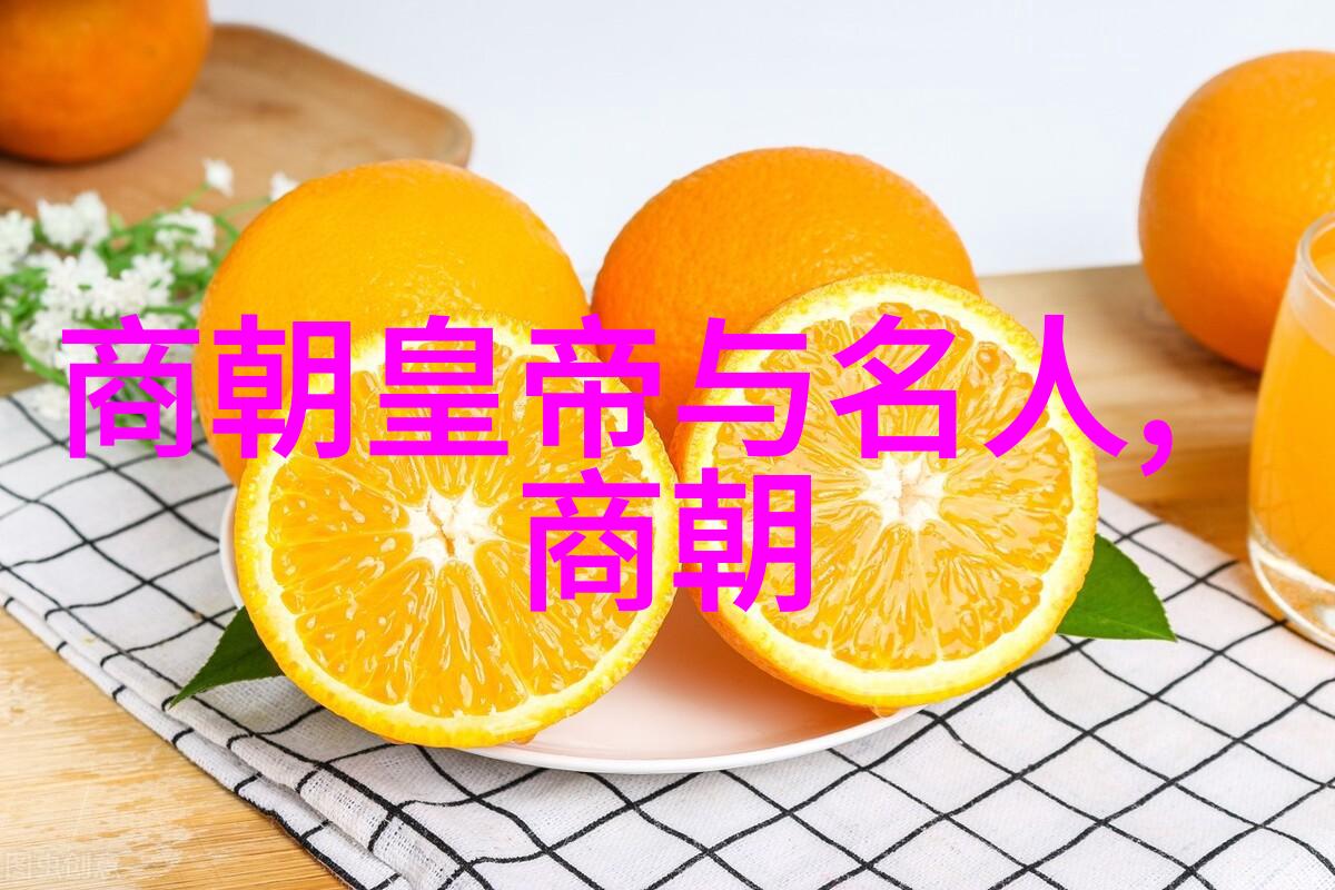 辉煌的中原元朝文明之光