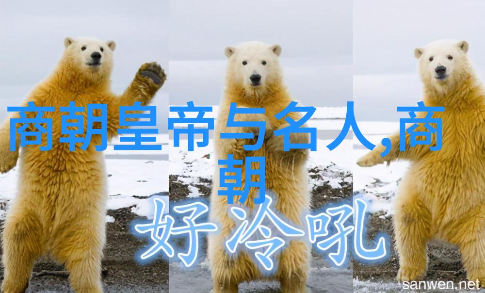 秦良玉背后的秘密真的如同小说中描述的那样吗
