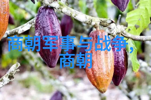 元朝灭亡时惨状和真相-辽阔帝国的落幕揭秘元朝末期的覆灭