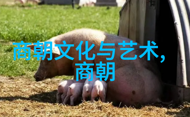 四大名旦之首是谁张派旦角赵群传承京剧艺术的典范