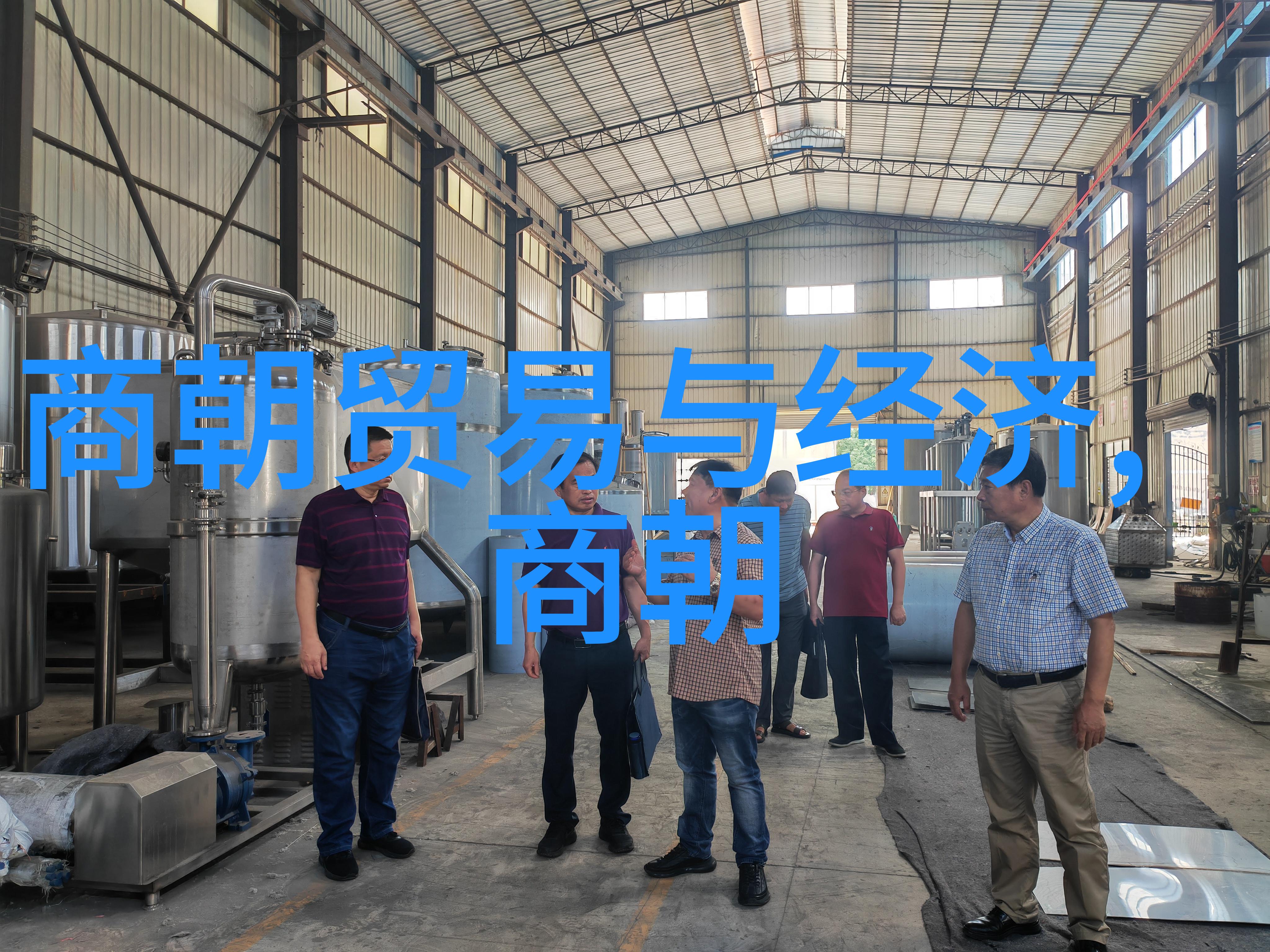 明朝的盛世之谜如何解读一统江湖