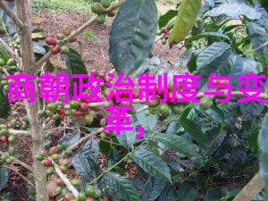 历史探究-元朝的外来征服辽阔帝国的建立与争议