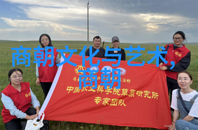 明朝帝王谱揭秘一代之冠的数量与传奇