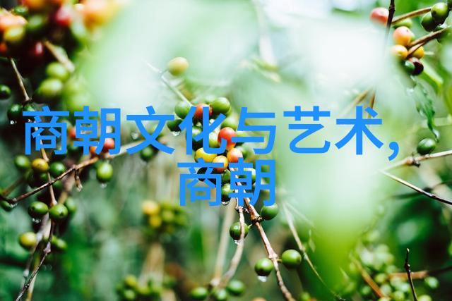明朝几代王朝的兴衰史诗