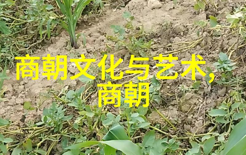 明朝那些事儿王更新有声的传奇生涯
