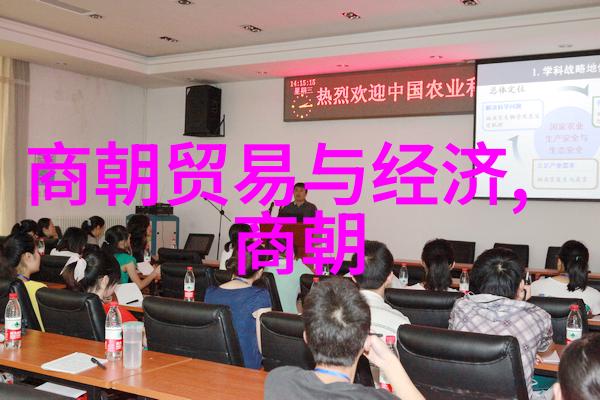 元朝的中国身份探索蒙古帝国在中华史上的地位