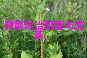 现代中国最厉害的人是谁埃丁森卡瓦尼下