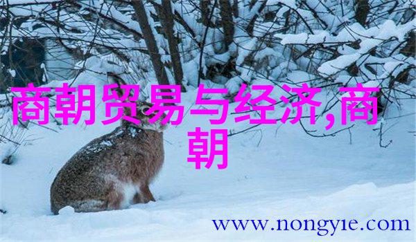 重温古籍如何选择适合您阅读的明朝历史书籍