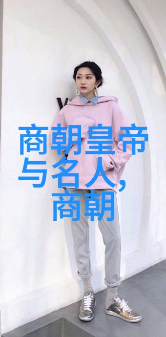 张衡全国学籍管理系统在社会中的应用与挑战