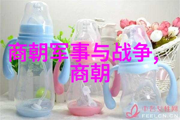 东风不与周郎便明朝南京一座被重塑的都城
