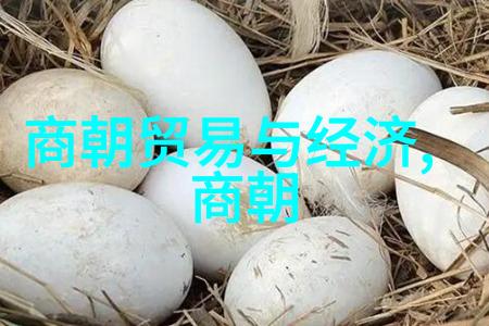红楼梦中的明朝传奇从林黛玉到贾宝玉的悲欢离合