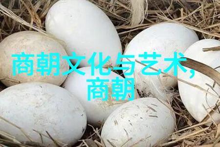 倾情一世星辰音乐会的璀璨亮点