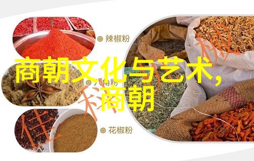 宋代历史事件-北宋灭亡与南宋建立 从靖康之变到临安的转折