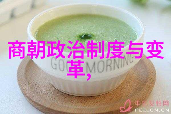 元朝算不算中国朝代 - 蒙古征服与中华传统探索元朝的国度身份