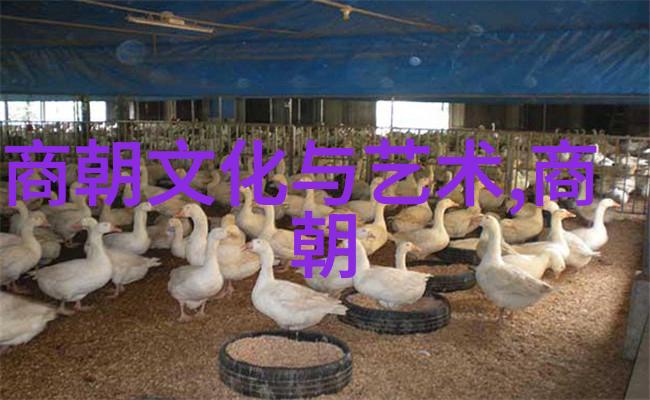 一个时代的英雄如何在晚年被社会遗忘