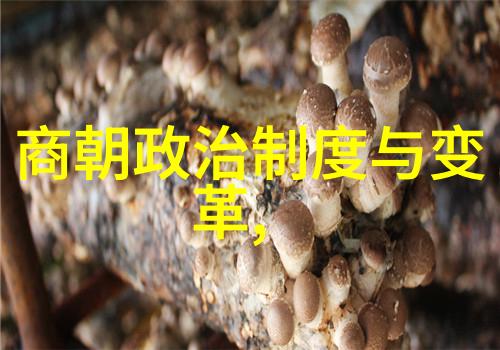明朝最好的帝王是谁 - 明君英杰评述明朝历代帝王治国成就与评价