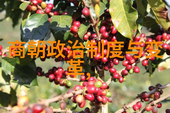 明朝重要事件发生顺序研究重构历史脉络与文化演变