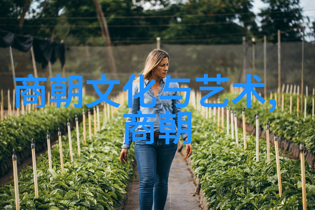 解析大明王朝映射问题历史误区与文化再审视