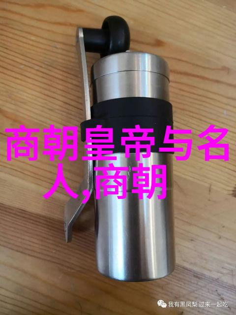 明朝风云传奇石悦的历史探索之旅