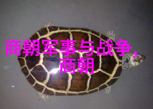元朝覆灭之惨历史的余晖与民众的哀嚎