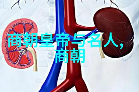 万历年间的中国明朝文化与政治的繁荣