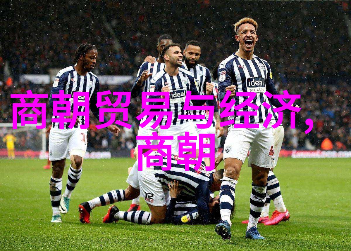 朱元璋的秘密花园从皇帝到菜篮子的奇妙转变