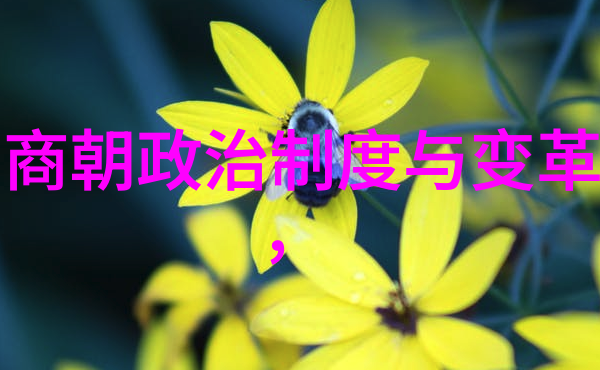 青铜时代的辉煌与战争5000年来的人类文明演变