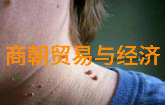 辅太甲伊尹还政