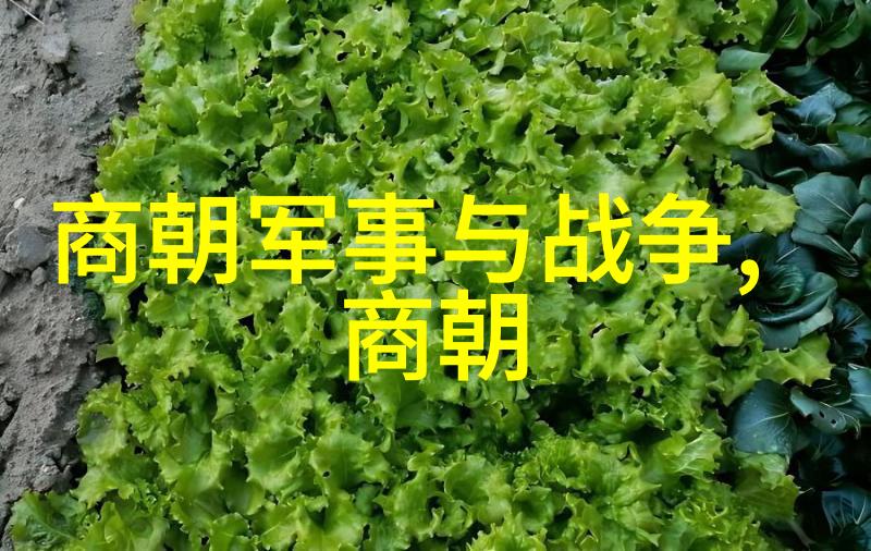 国产午睡客厅沙发30分钟 - 沉浸在安逸的时光探索国产午睡沙发的魅力