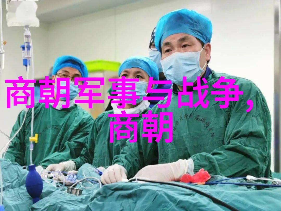 元代对外征服成就最大的是哪一次战争