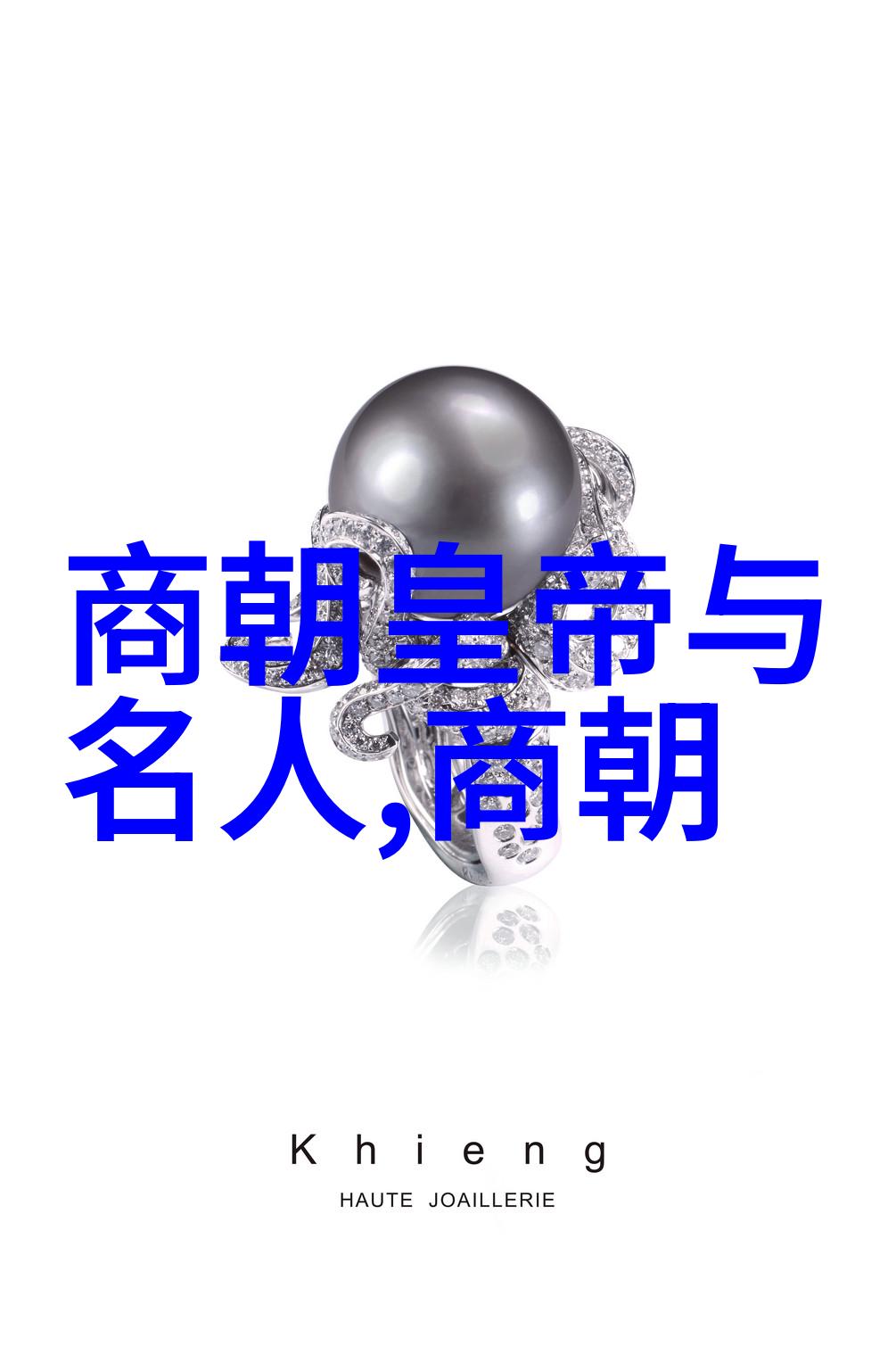 宋国风华录从开国到辉煌的历史征程