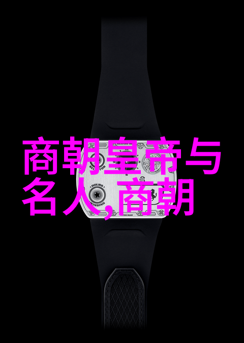 明朝明成祖下一位朱厚熜的沉默与重建