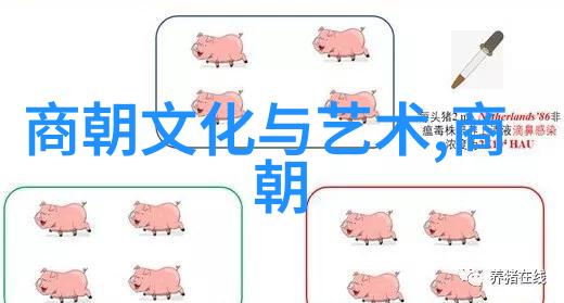 河南豫剧选段精选唱段由国家二级演员王效领表演