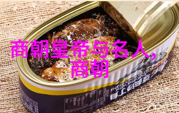 明朝历史被丑化的原因有哪些-揭秘历史尘封明朝丑化背后的多重因素