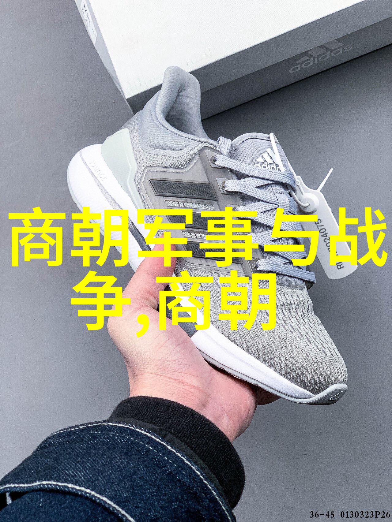 中国历史朝代面积古代帝王征服与统治的广阔疆域