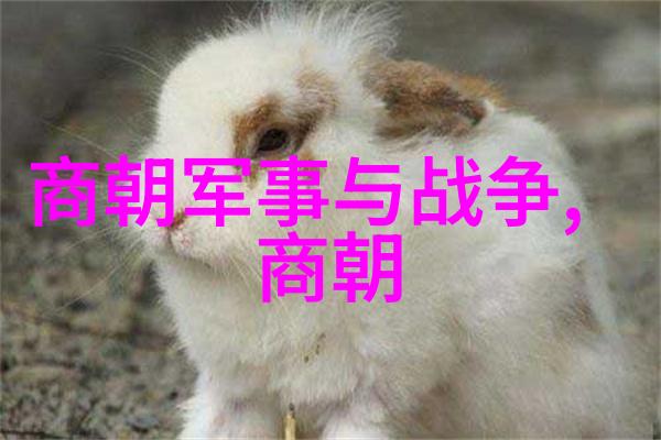 经济困境与人口压力分析明末社会矛盾激化的情况