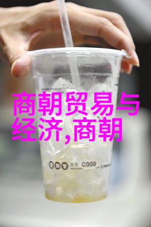 纷争与繁荣明朝的两重天地