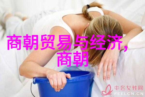 明朝历史看什么书最好我这儿推荐几本让你深入了解明朝的经典书籍