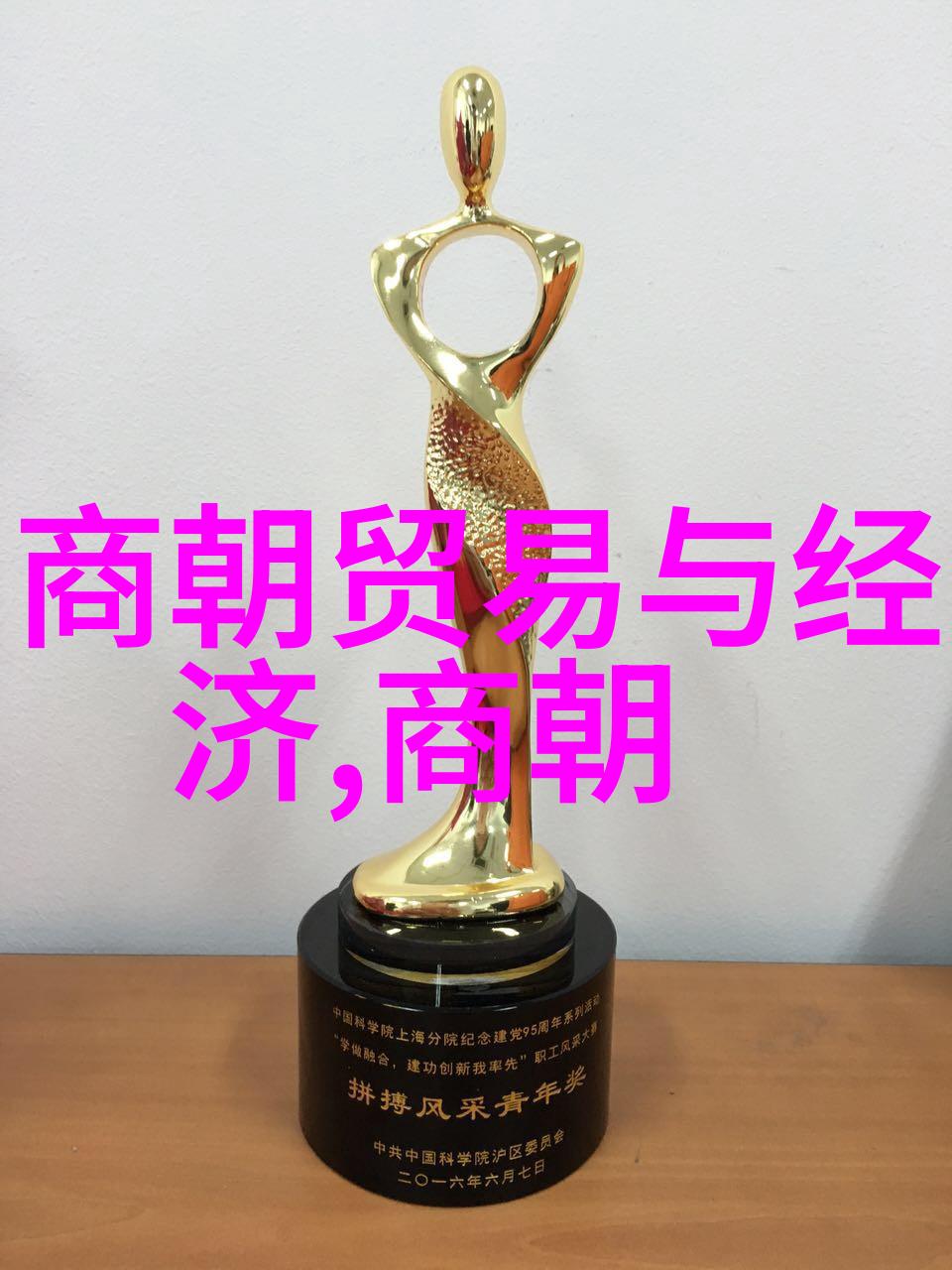 明代历代的族谱血缘记忆与历史印记