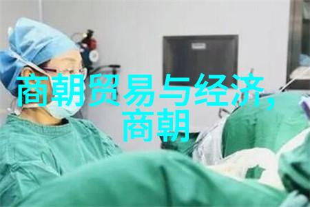 元朝帝王史话评书历史上的明君暗子