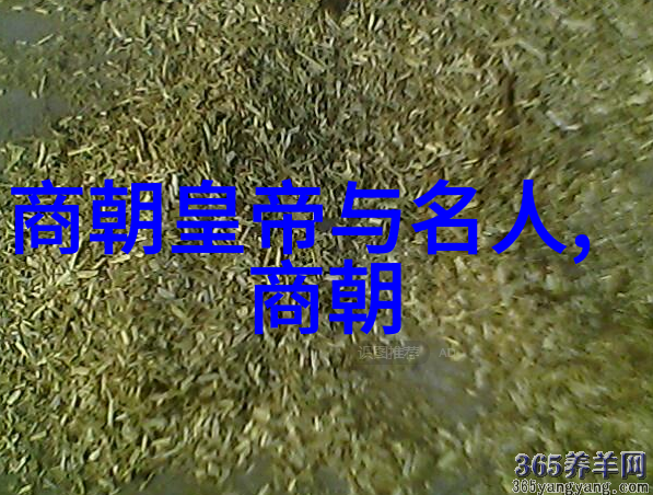 明朝的末代皇帝崇祯帝为何不能挽救国家危机