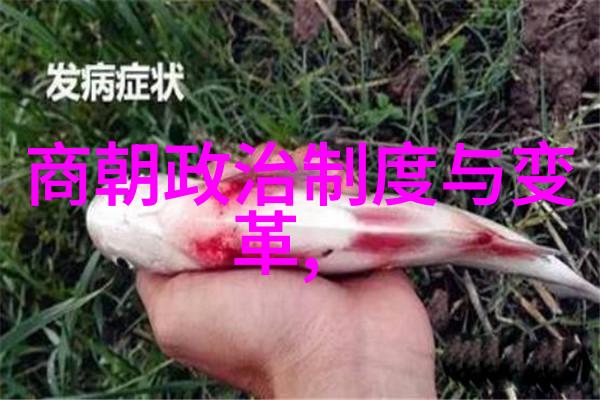 明代数学家刘伯温之死历史的谜团与推测