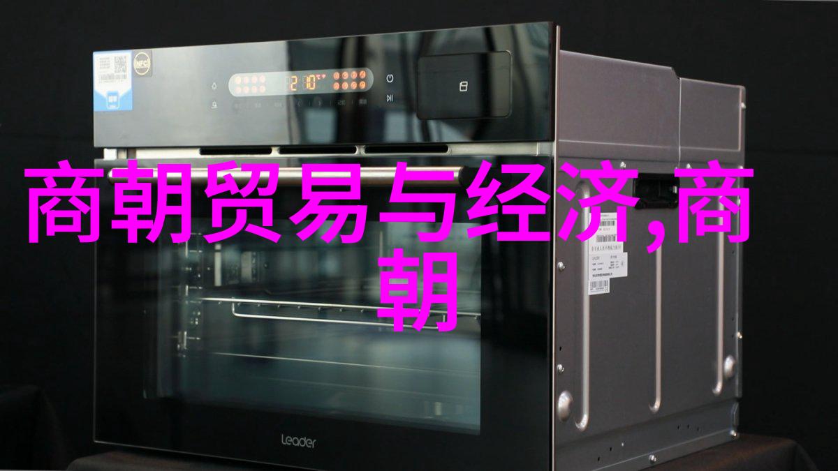 元朝的兴衰与辉煌从忽必烈到顺帝的故事简介