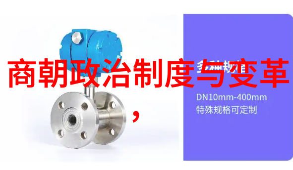 孙若微在政治上的贡献又是什么