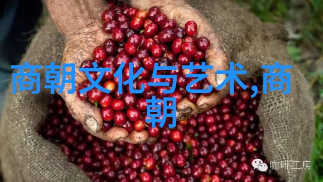 如何评价元代对中国历史和世界地理政治格局的影响