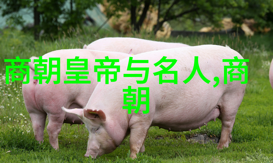 好看的元朝历史我眼中的忽必烈风华绝代的草原帝国