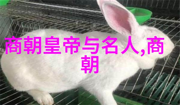 张肖伧京剧史论研究者深谙京剧代表曲目的精髓
