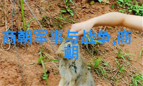 乌拉那拉氏断发野史我的乱世佳人