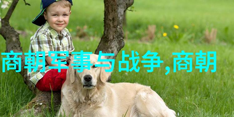 明朝咱们来看看这些皇帝是怎么一回事
