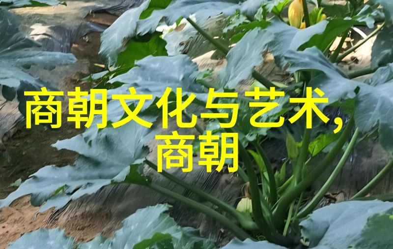 朱祁镇杀张太后背后的历史原因明朝王室权力斗争